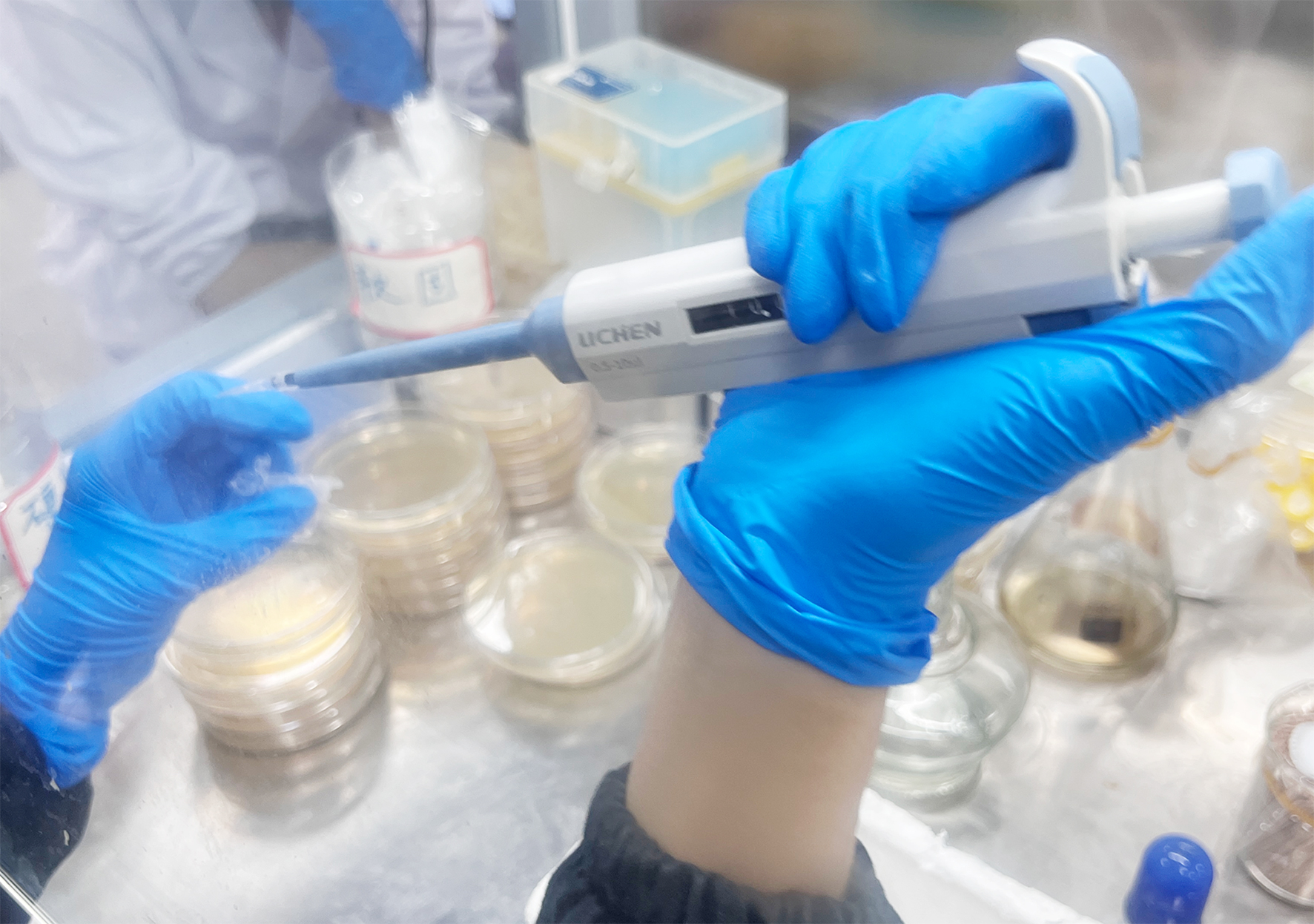 BIOX未来生物探索营