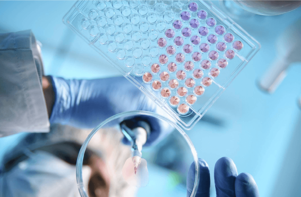 BIO USACN 美国生物奥林匹克挑战营